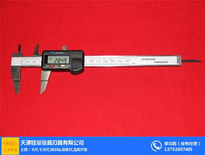 面差尺 桂量量具非標現(xiàn)貨 優(yōu)質(zhì)商家 湛江數(shù)顯面差尺